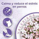 Beaphar Calming Collar Relajante para perros, , large image number null